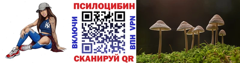наркотики  Волхов  Псилоцибиновые грибы MAGIC MUSHROOMS 