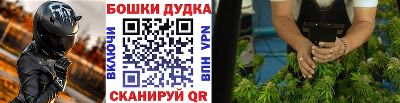 Каннабис план  Волхов 